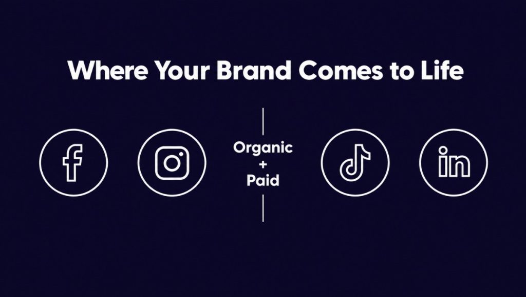 where your brand comes to life: organic or paid where your brand comes to life: organic or paid
